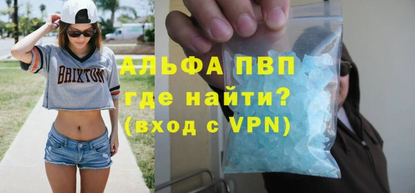 ПСИЛОЦИБИНОВЫЕ ГРИБЫ Горняк
