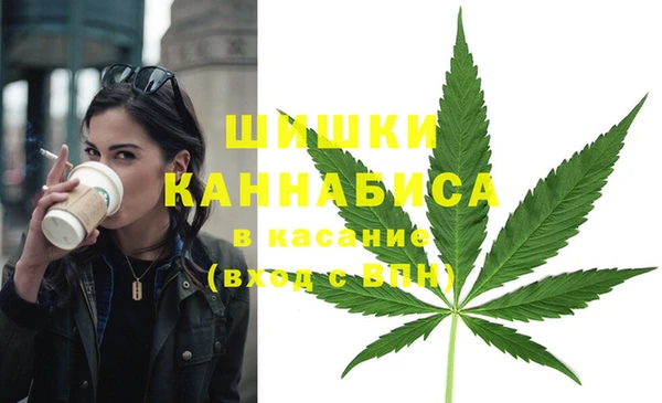 ПСИЛОЦИБИНОВЫЕ ГРИБЫ Горняк