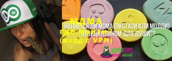 ПСИЛОЦИБИНОВЫЕ ГРИБЫ Горняк
