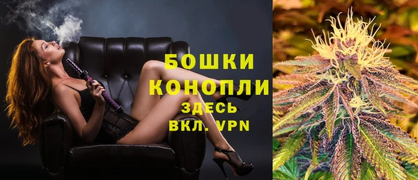ПСИЛОЦИБИНОВЫЕ ГРИБЫ Горняк