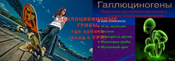 гашик Горнозаводск