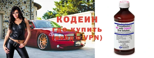 ПСИЛОЦИБИНОВЫЕ ГРИБЫ Горняк