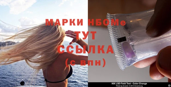 ПСИЛОЦИБИНОВЫЕ ГРИБЫ Горняк