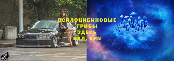 МДПВ Горно-Алтайск