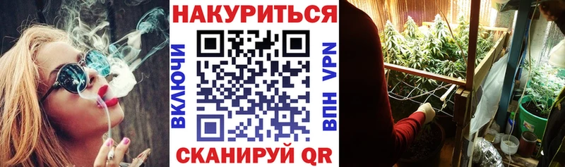 Купить  Кингисепп  Бошки Шишки SATIVA & INDICA 